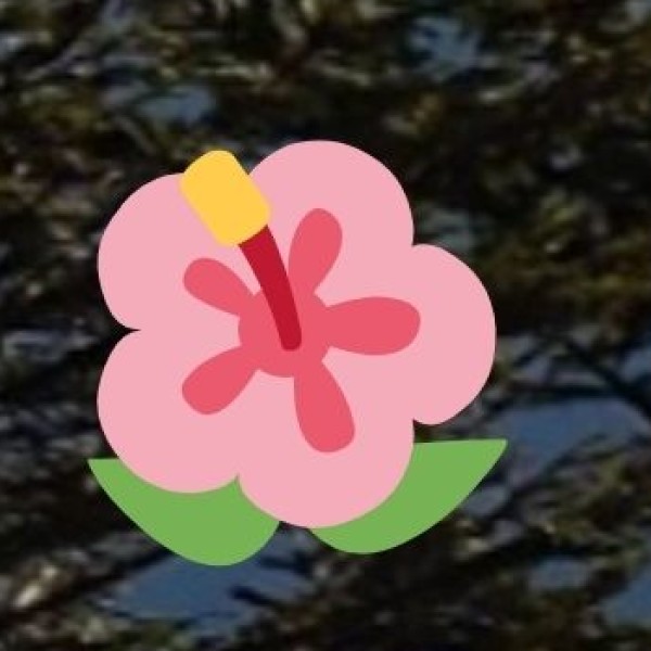 Shop at DLF Mall of India – The Biggest Mall in India