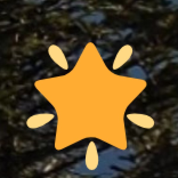 Wildlife & Birdwatching at Kolleru Lake