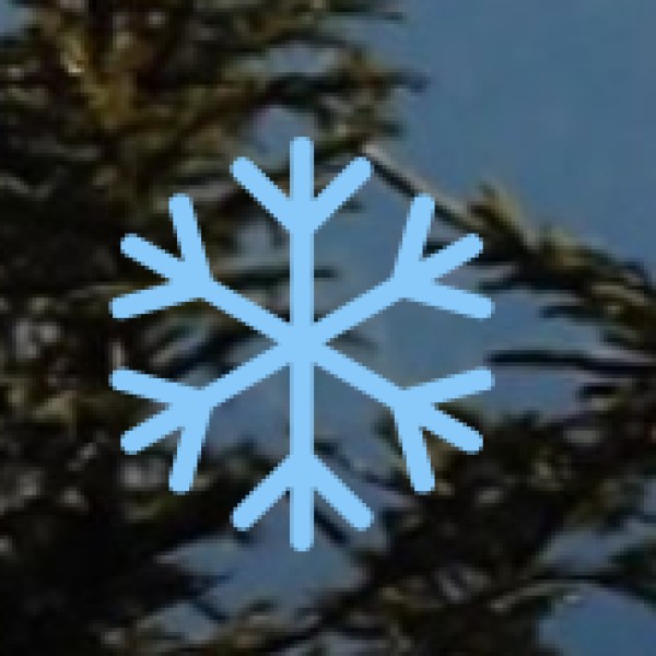 Visit Dargah-e-Ala Hazrat – A Sufi Shrine