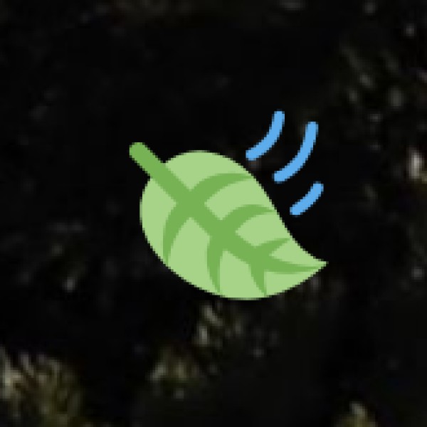 Wildlife & Birdwatching