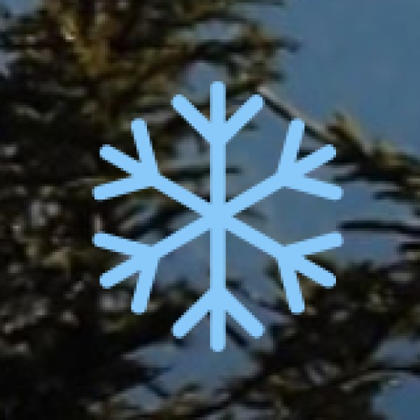 Explore the Ghats of Varanasi