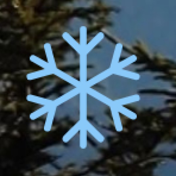 Camping & Nature Escapes