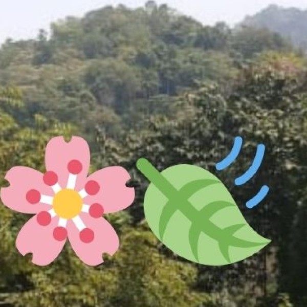 Relax at Gandhi Udyan – The Green Escape