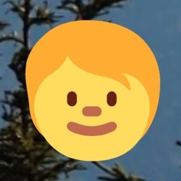 Surfing & Swimming at Hope Island