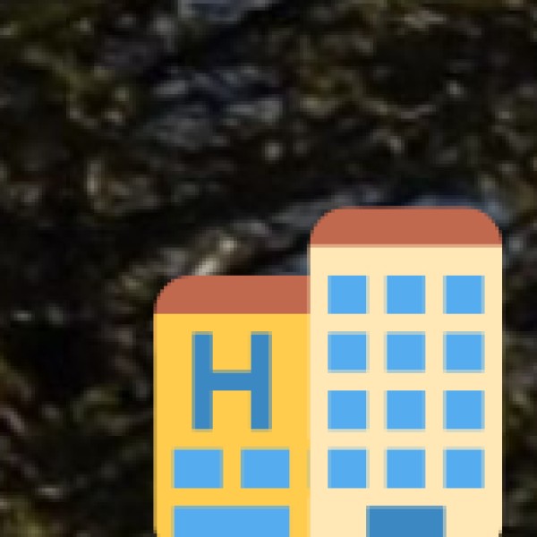 Try Street Food at Mohan Nagar Market