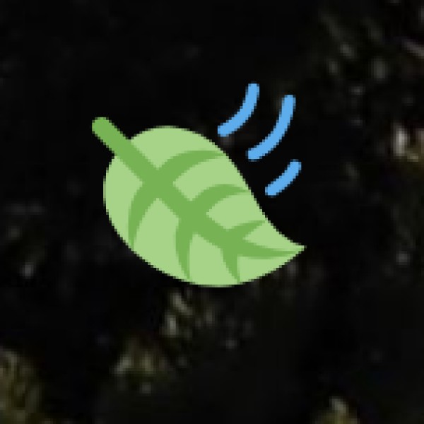 Boating & River Cruises