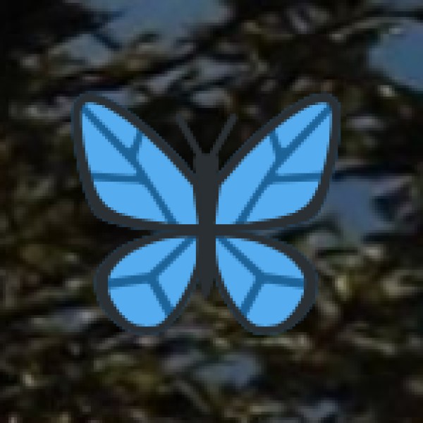 Explore Agra Fort & Walk Through Mughal History