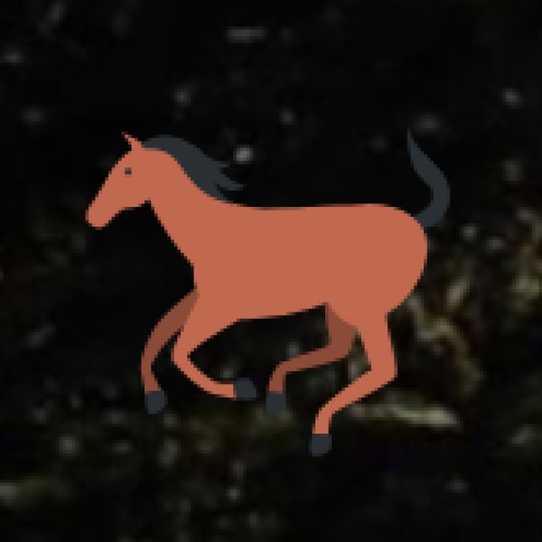 Camping & Night Adventure in Kondapalli Hills