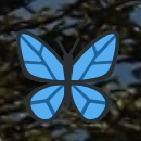 Buy World-Class Cricket Bats & Sports Equipment