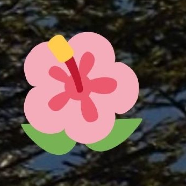 Experience Lucknow’s Traditional Ittar (Perfume) Making