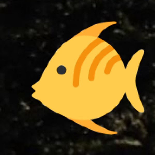 Fishing Trips & Deep-Sea Angling