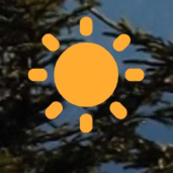 Activities & Experiences in Noida