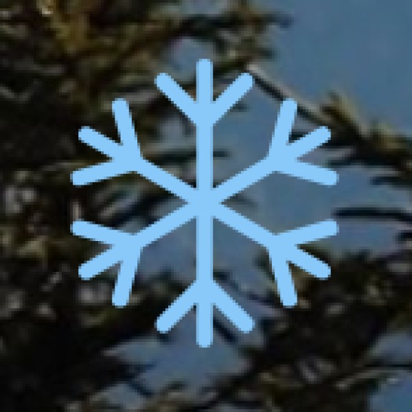 . Visit Kanpur Memorial Church & Learn About Colonial History