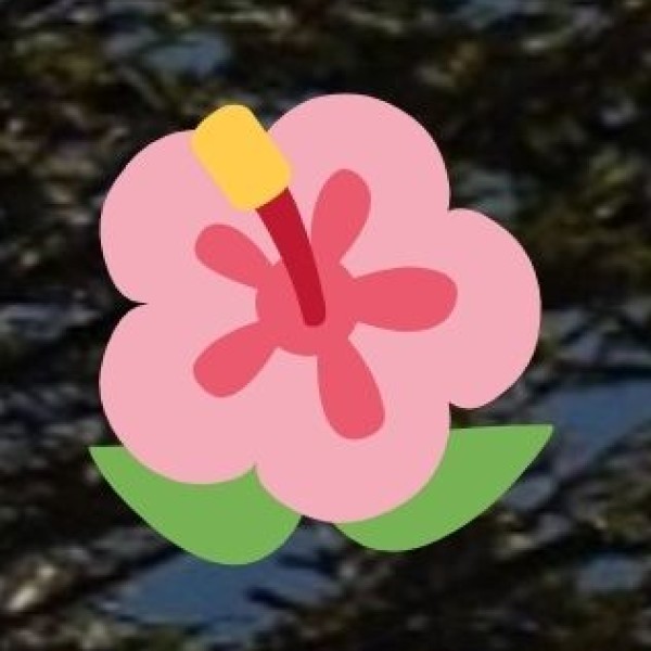 Wildlife & Birdwatching