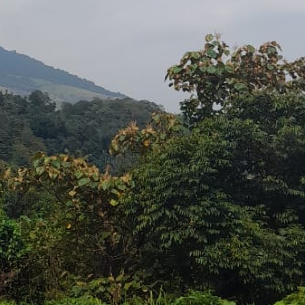 Top Activities & Experiences