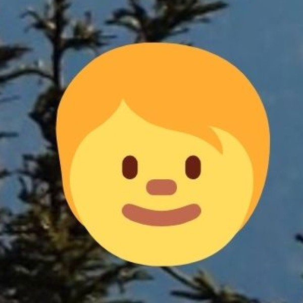 Camping & Outdoor Picnics