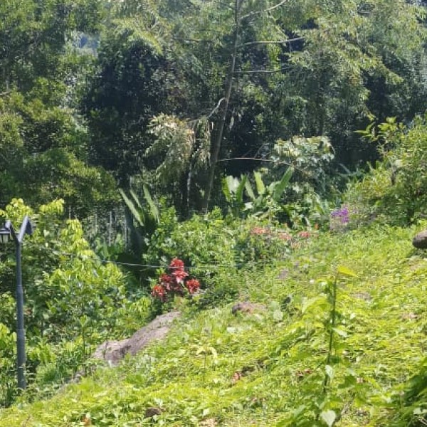 Top Activities & Experiences