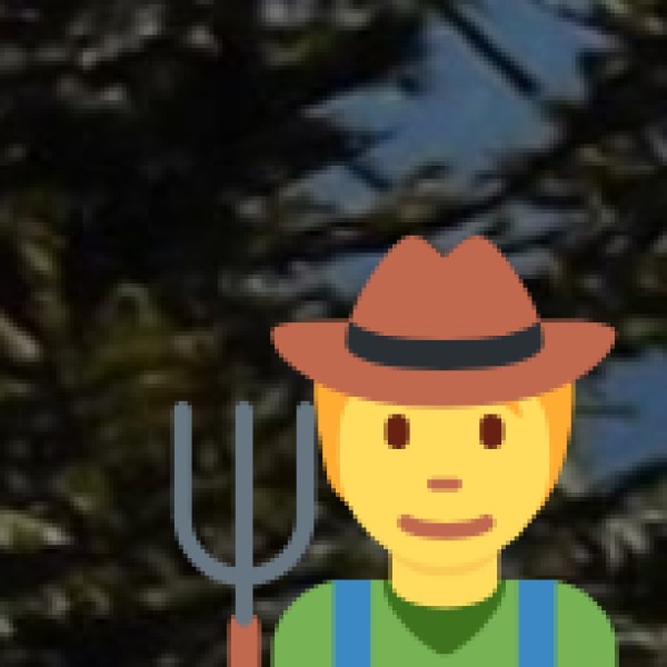 Attend the Ganga Aarti at Dashashwamedh Ghat