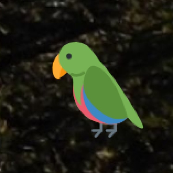 Bird Watching in Kumbabhishekam Lake & Coringa