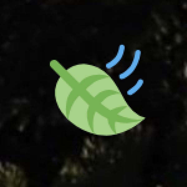 Beachside Dining & Rooftop Restaurants