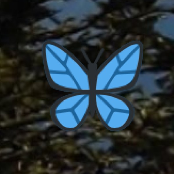 Best Cafés & Modern Dining