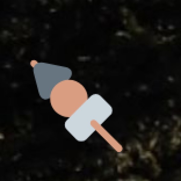 Chicken Shawarma & Kathi Rolls – The Quick Bites