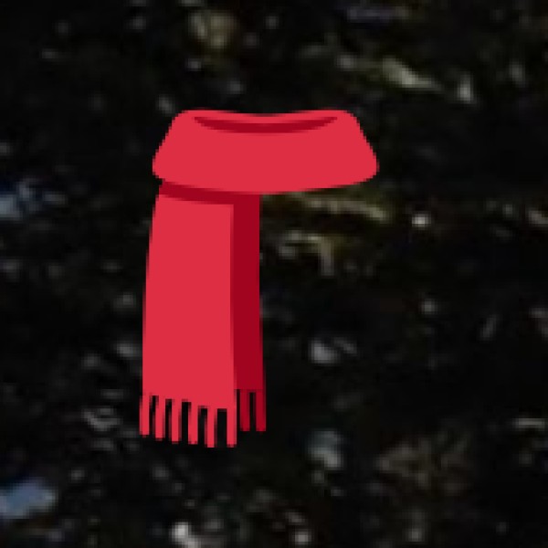 Zari Market – Best for Embroidered Sarees & Fabrics