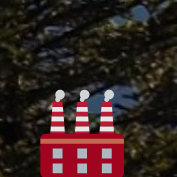 Shop for Handmade Wooden Furniture