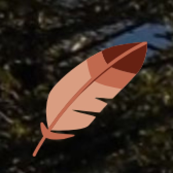 Best Shopping Experiences in Kanpur