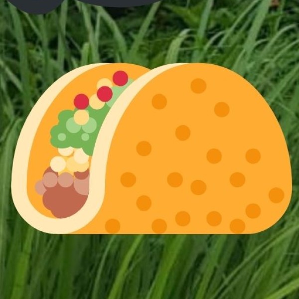 Kebabs & Tandoori Delights – Agra’s Street Food