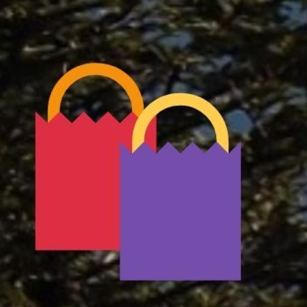 Best Shopping Experiences in Lucknow