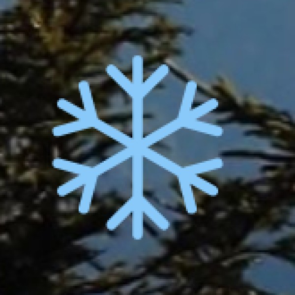 Chowk Market – Best for Books & Antiques