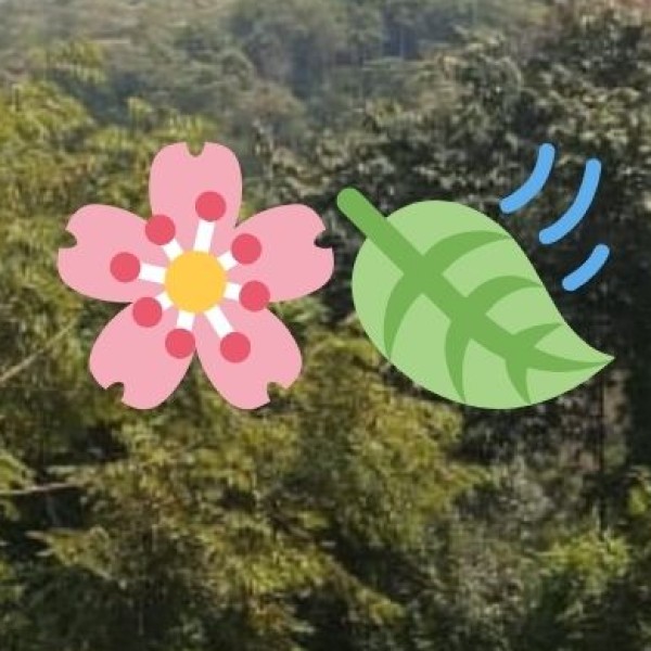 Budget vs. Luxury Dining in Tirupati