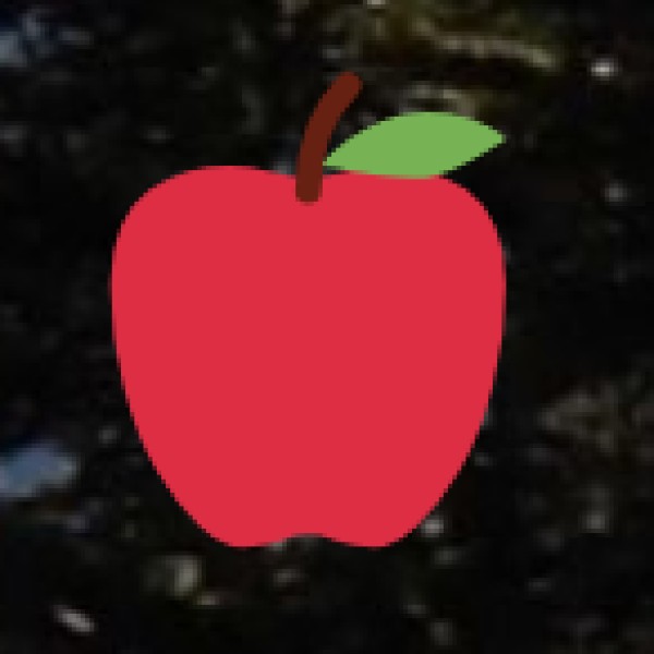 Budget vs. Luxury Dining in Vijayawada