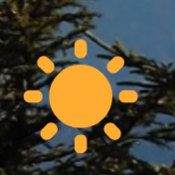 Traditional Andhra Meals