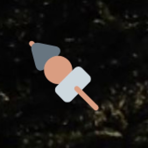 Bareilly’s Famous Tandoori Chicken – A Must-Try