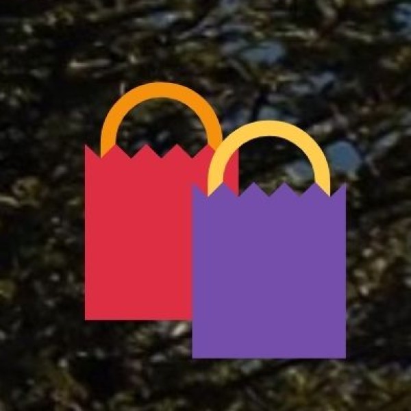 Best Shopping Experiences in Prayagraj