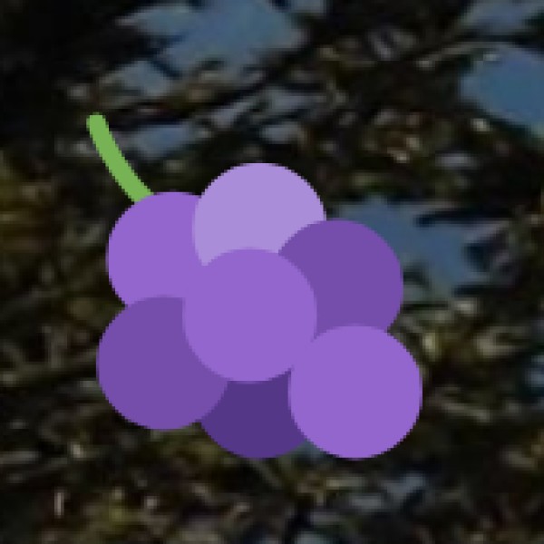 Cafés & Modern Food Places