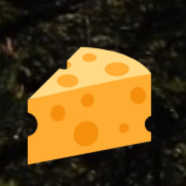 Mughlai Biryani – A Royal Feast