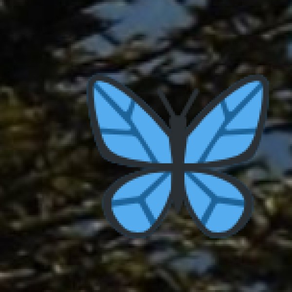 Andhra Meals (Vegetarian Thali)