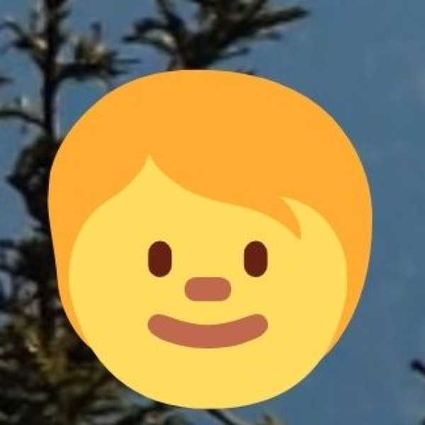 Bareilly’s Famous Chaat – A Spicy Treat