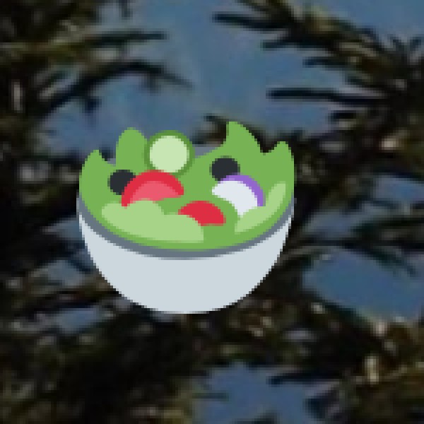 Best Foods to Try in Agra