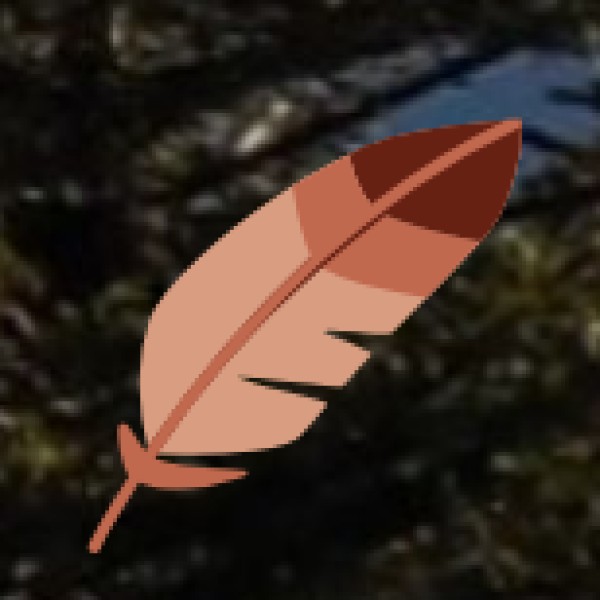 Noida Haat – A Street Shopper’s Paradise