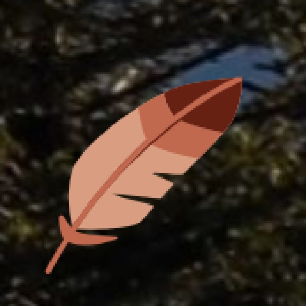 Best Places for Street Food in Vizag