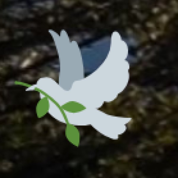 . By Road (Bus & Highway Connectivity)