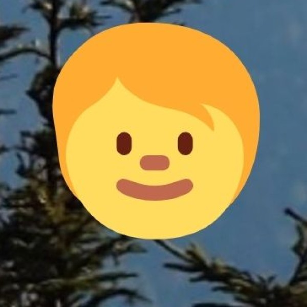 Rentals – Self-Drive Cars & Bikes