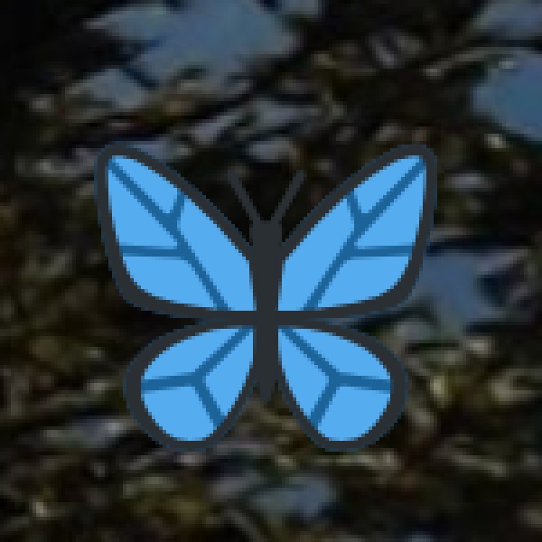 By Train – The Most Affordable & Convenient Option