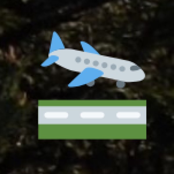 By Air – The Fastest Option