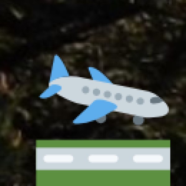 By Air – The Fastest Option