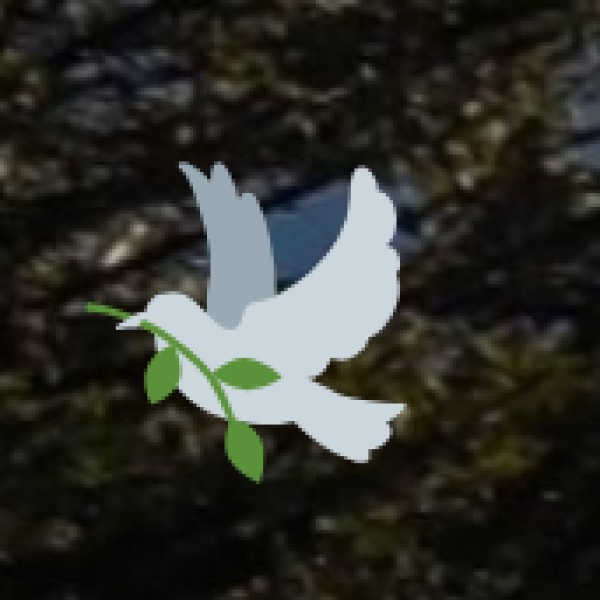 Travel Tips for Guntur